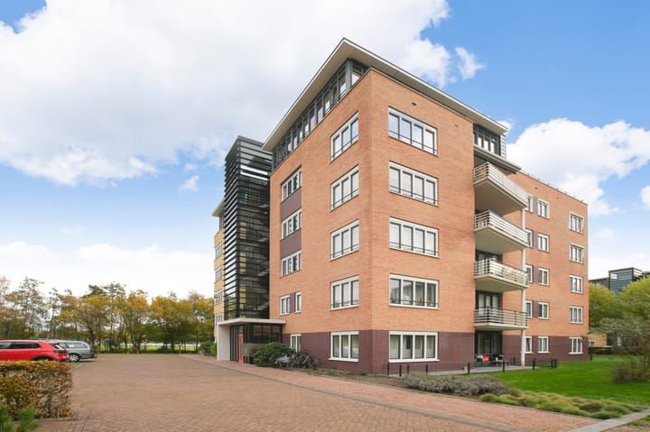 Photo 38 of Frans Hals 14