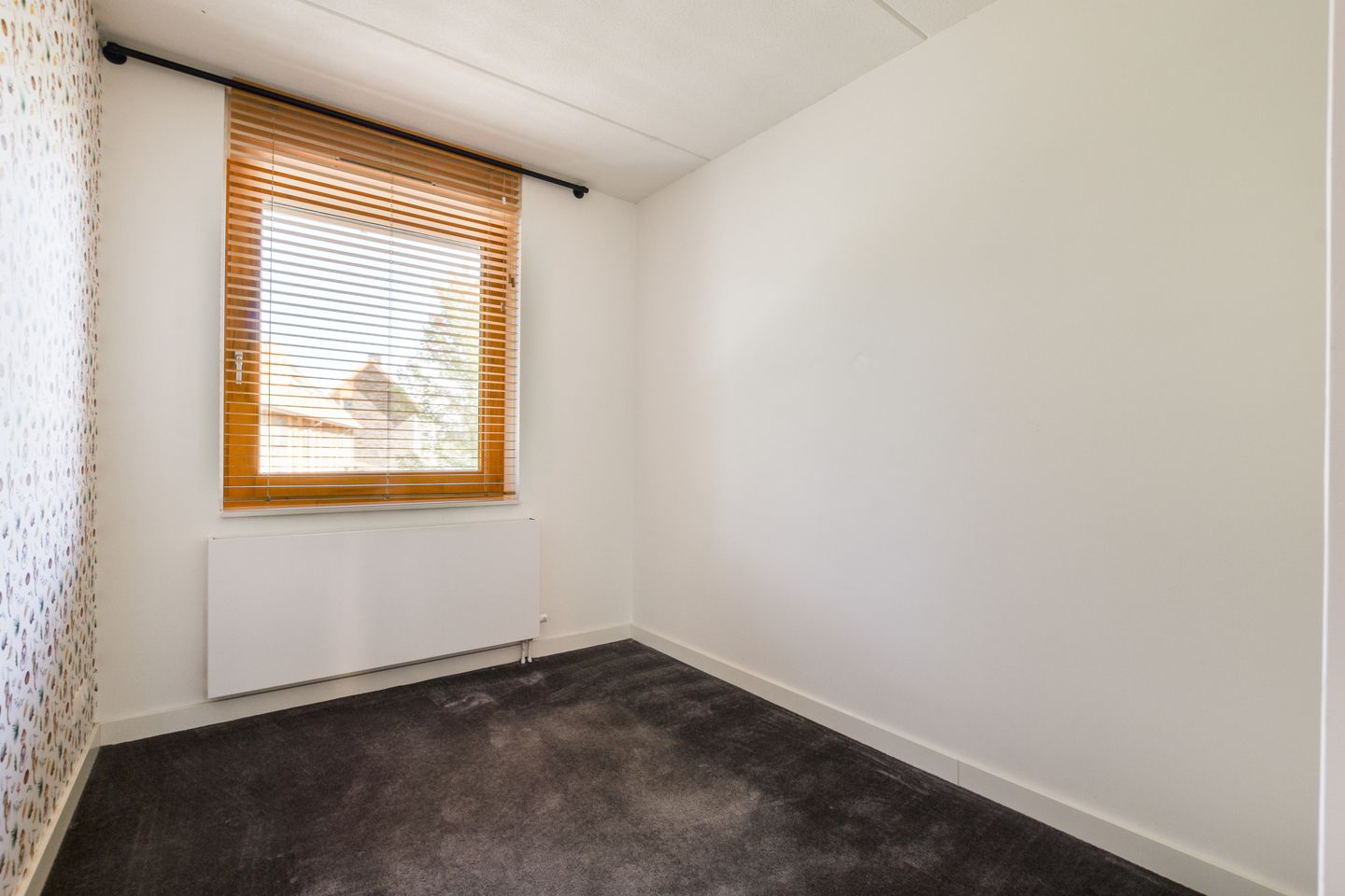 Foto 19 van Noorderduinstraat 217