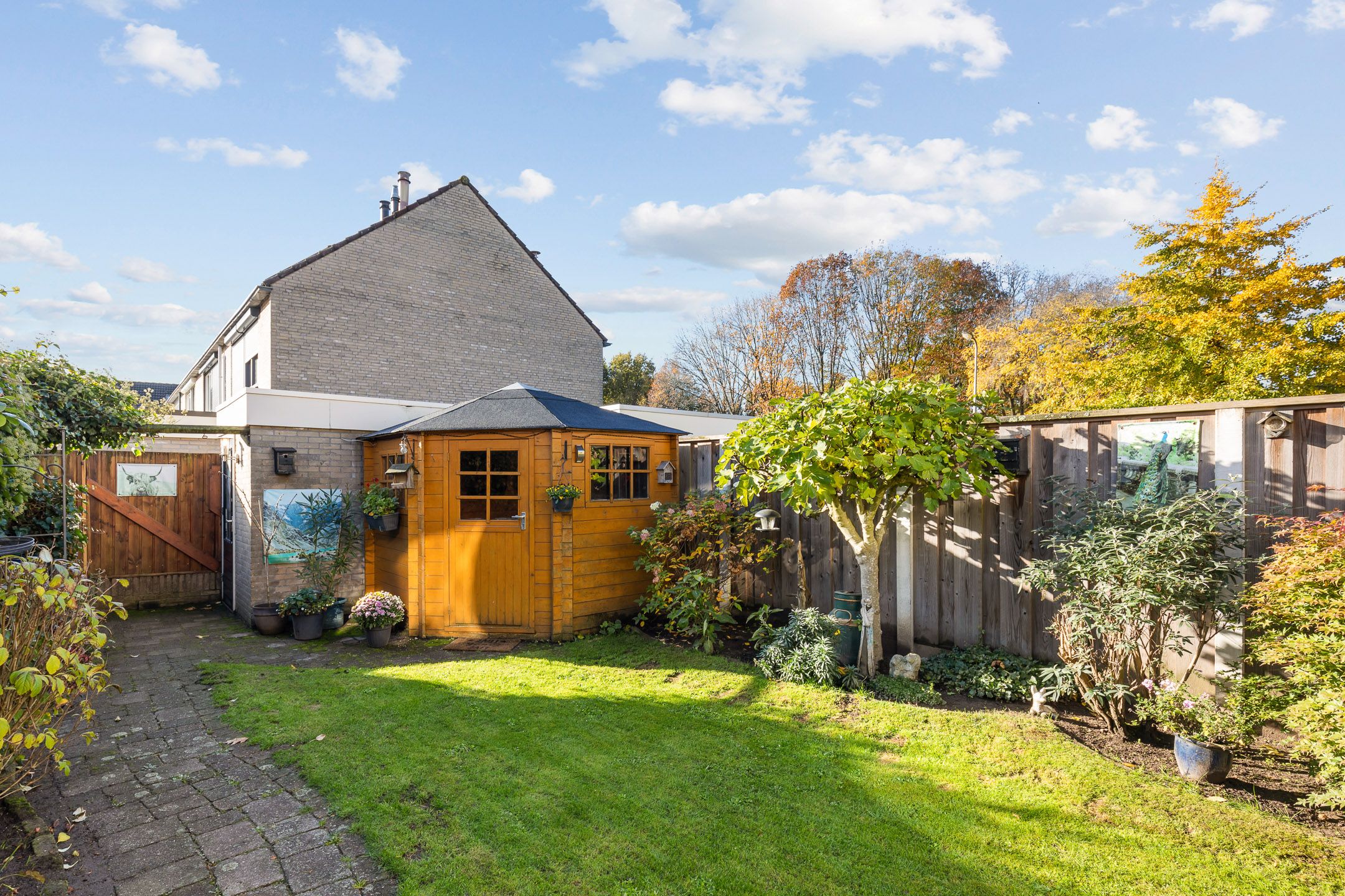 Photo 15 of Palfijnstraat 18