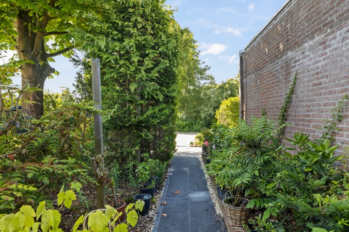 Foto 6 van De Moor 30