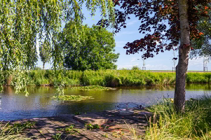 Foto 31 van De Moor 30