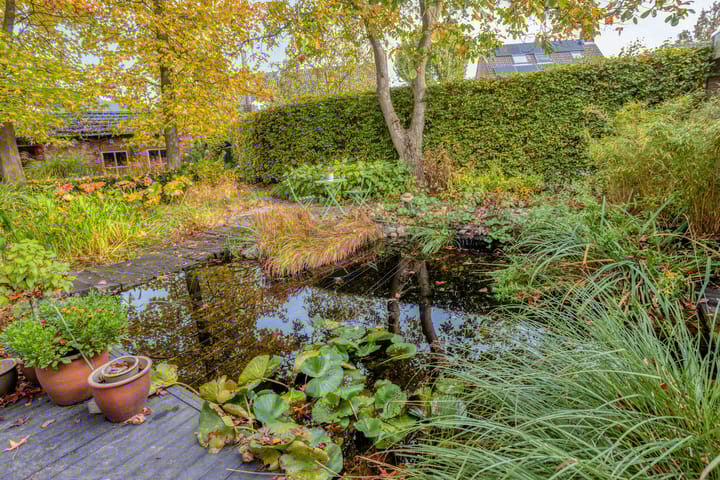 Foto 41 van Dr. van Beurdenstraat 3