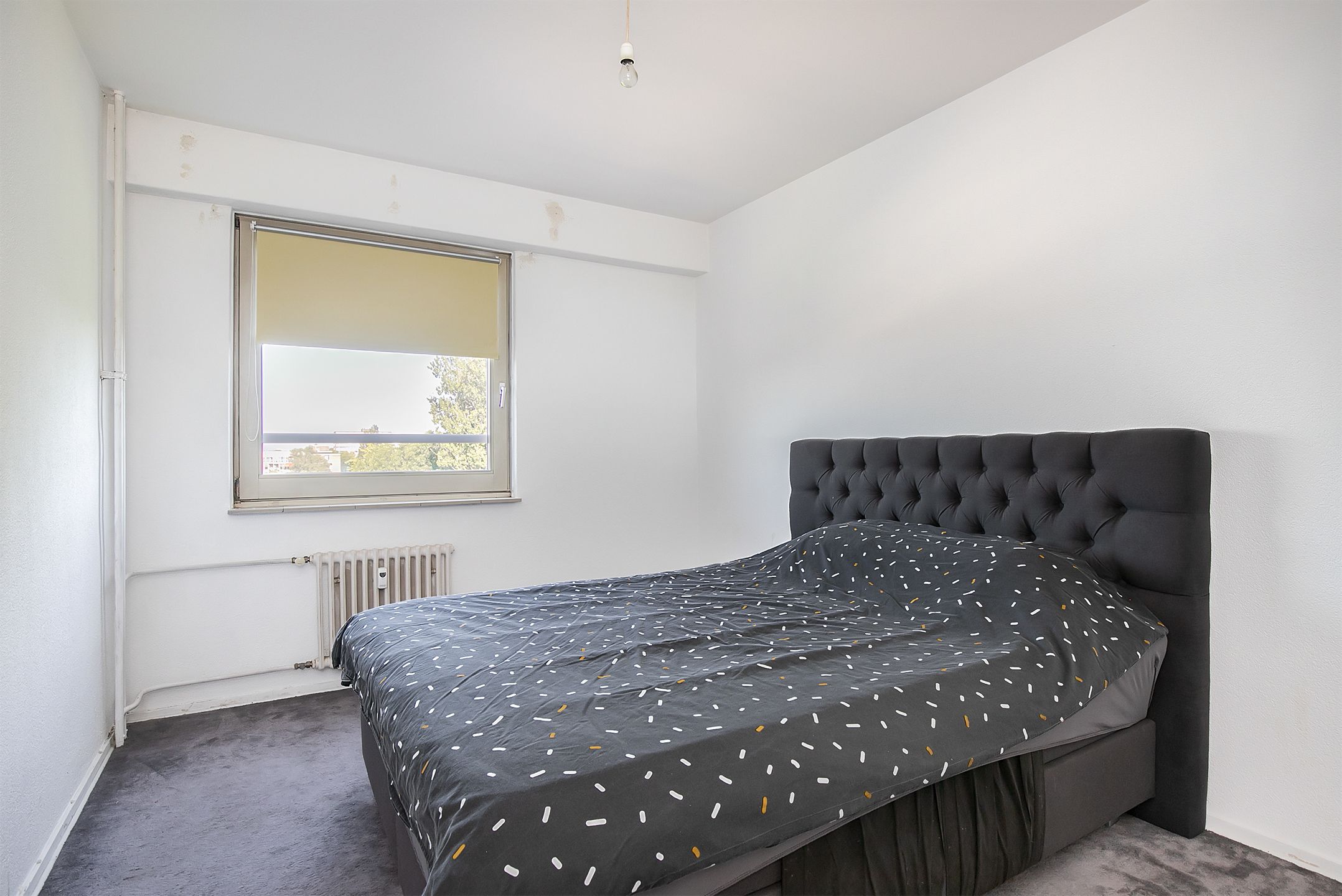 Photo 24 of Hongarenburg 124