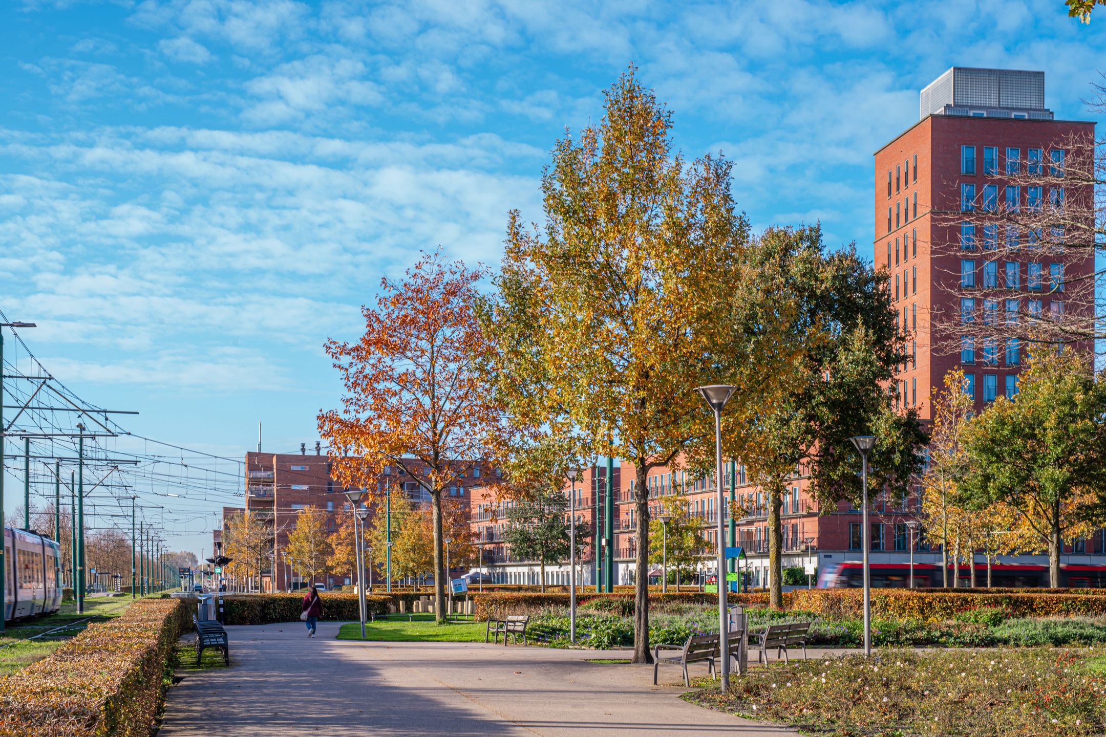 Foto 18 van Vuistbijl 47