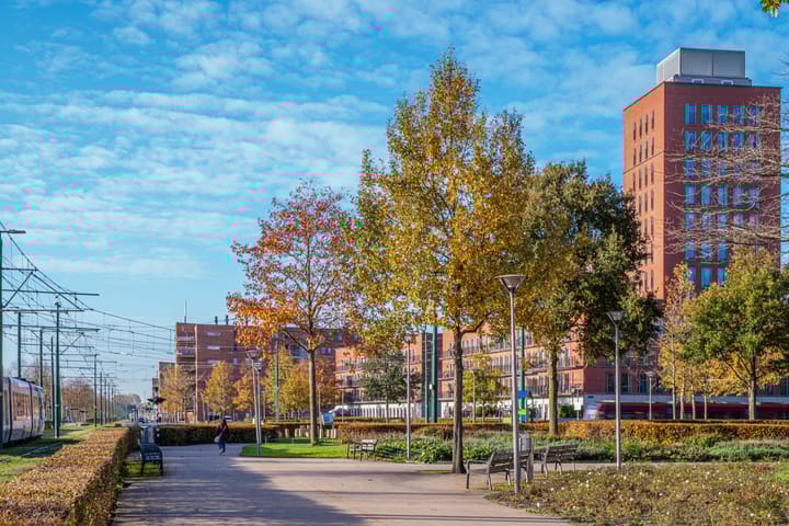 Foto 18 van Vuistbijl 47