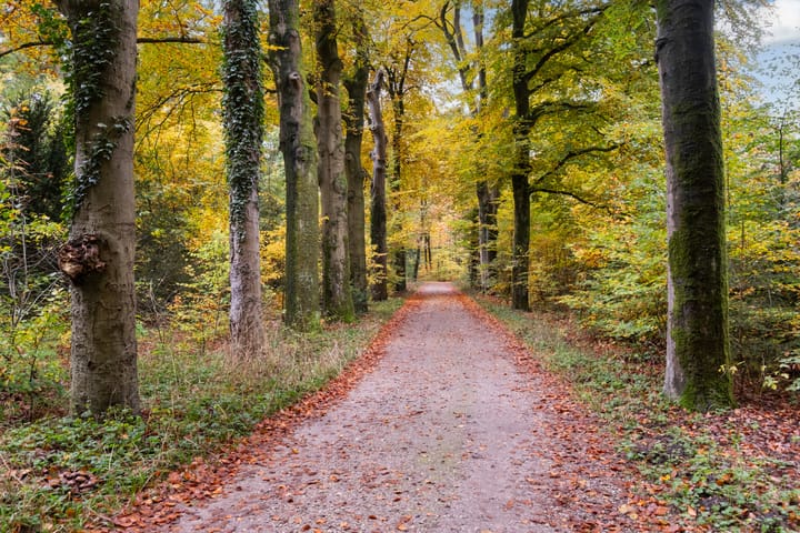 Photo 42 of Pater Andreoliweg 3