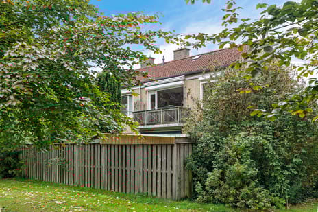 Paulus Potterstraat 35 secondary image