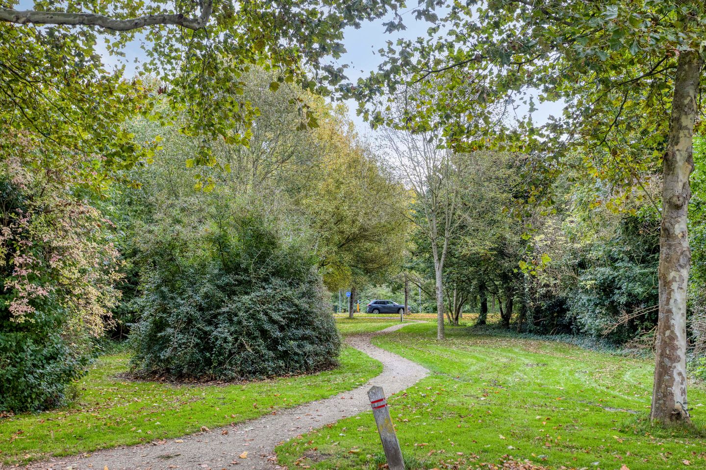 Foto 29 van Hertog Albrechtstraat 7