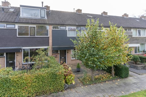 Meerkoetstraat thumbnail