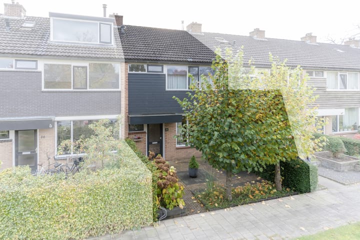 Foto 2 van Meerkoetstraat 66