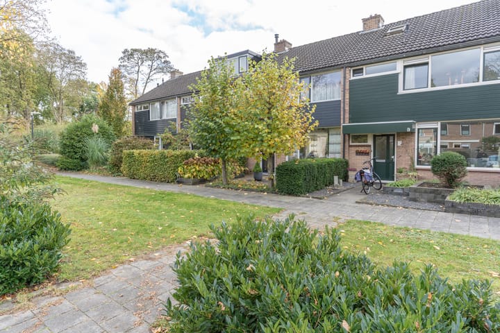 Foto 3 van Meerkoetstraat 66