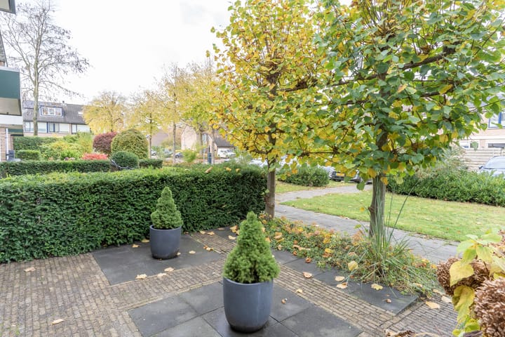 Foto 4 van Meerkoetstraat 66