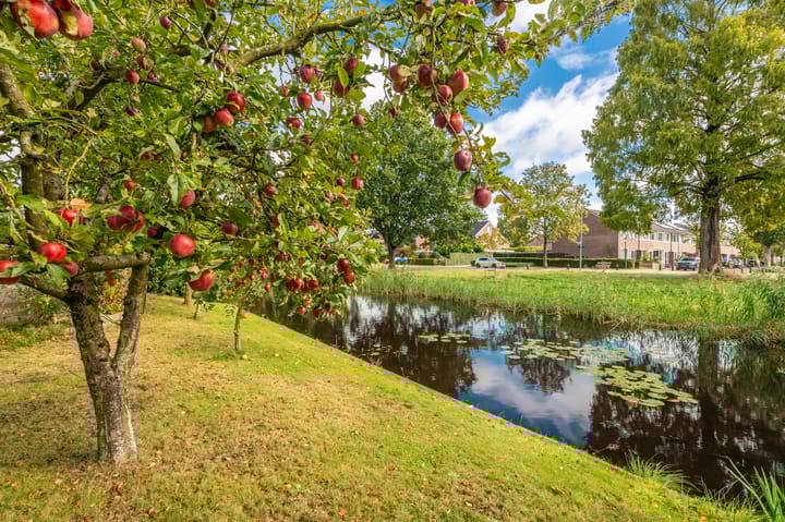 Foto 59 van Kapiteinspark 26