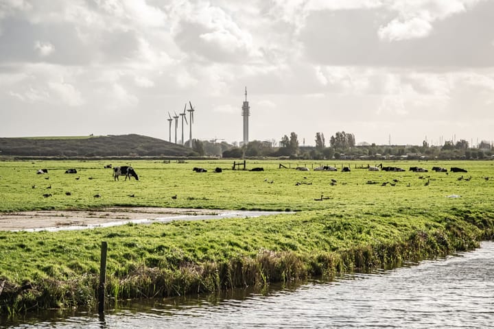 Foto 34 van Eksterlaan 181-A