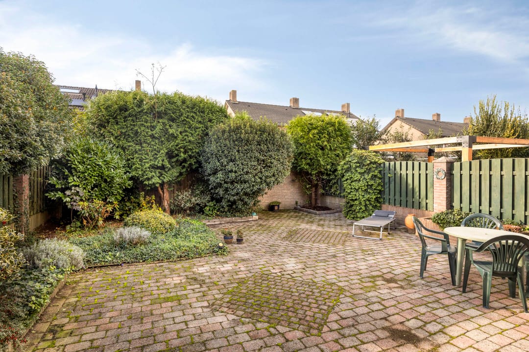 Foto 2 van Boekweitsdries 10