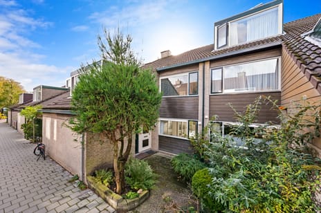 Steurendaal thumbnail