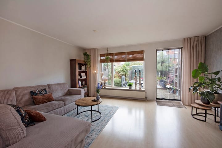 Foto 2 van Fluitekruid 5