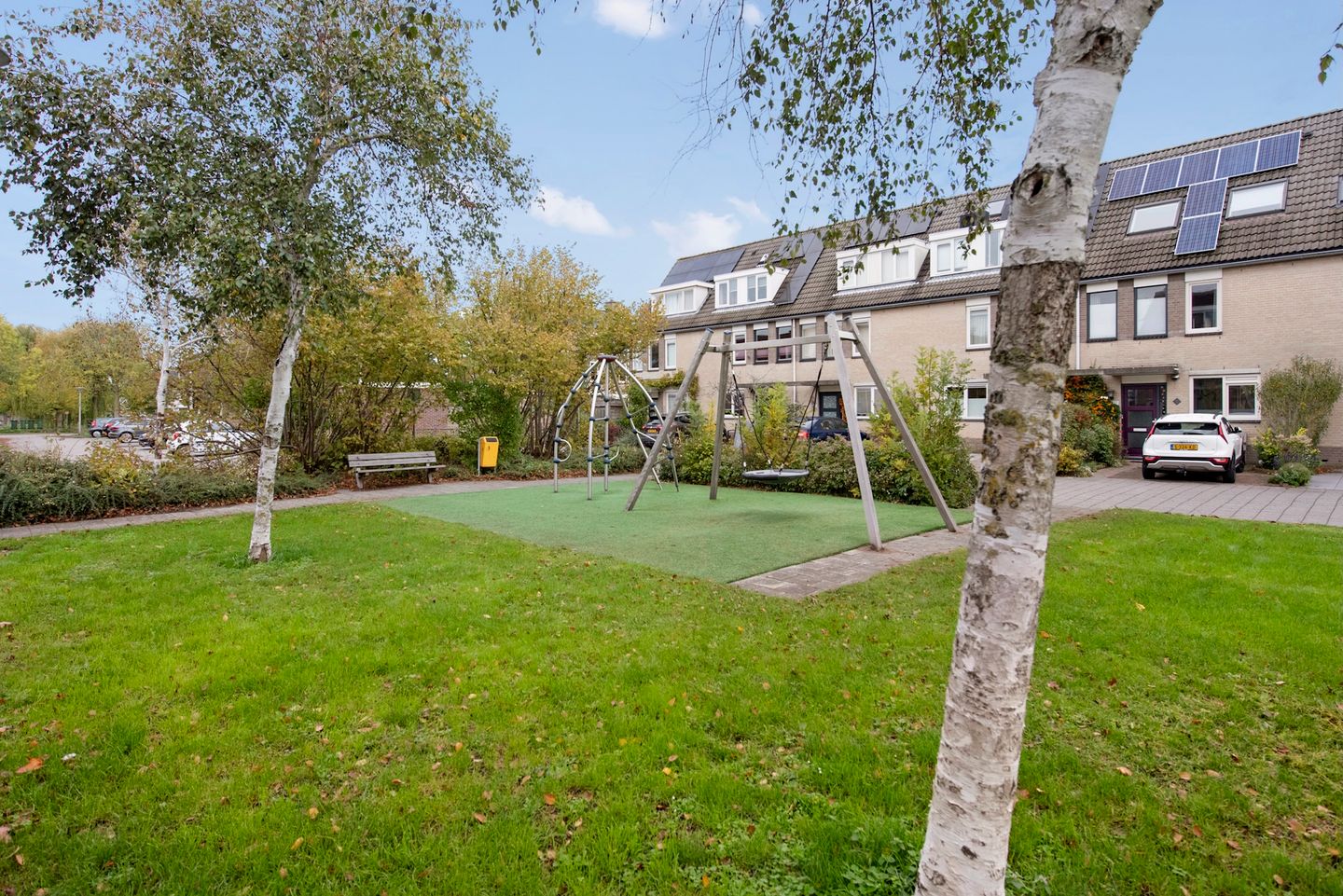 Foto 5 van Fluitekruid 5