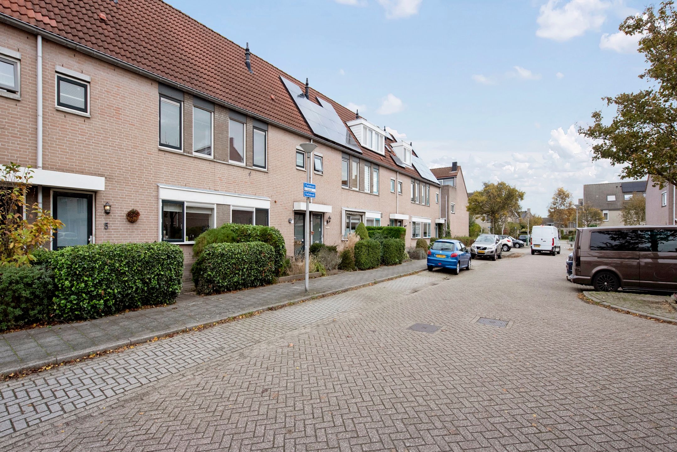 Foto 6 van Fluitekruid 5