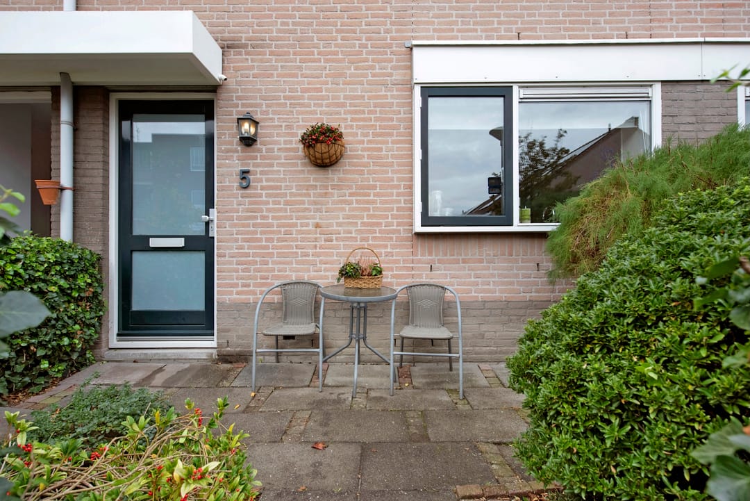 Foto 7 van Fluitekruid 5