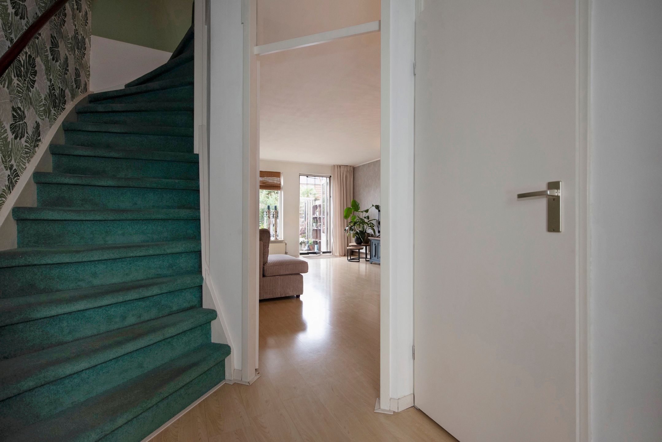 Foto 9 van Fluitekruid 5