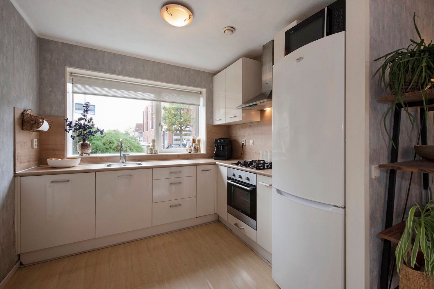 Foto 14 van Fluitekruid 5