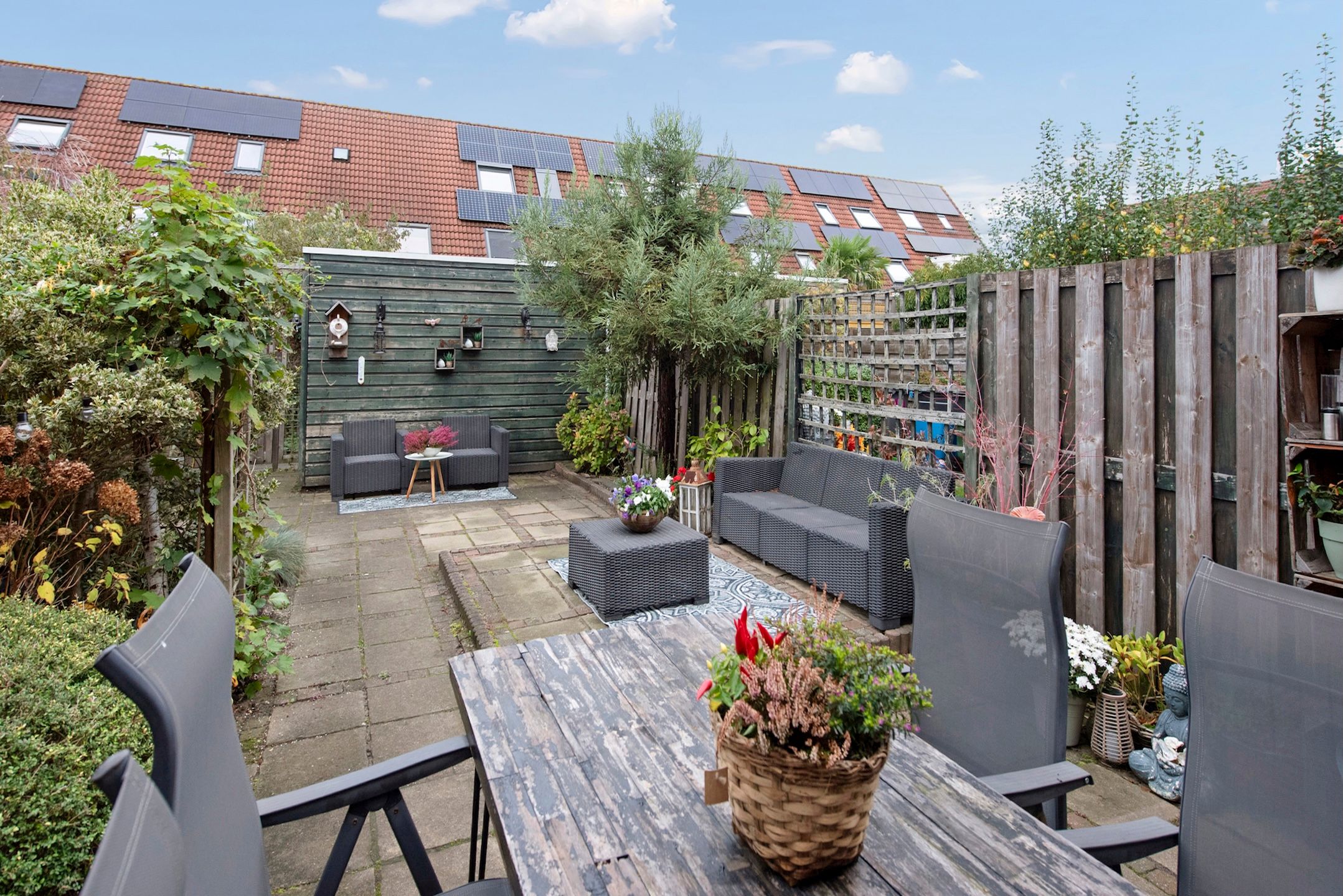 Foto 18 van Fluitekruid 5