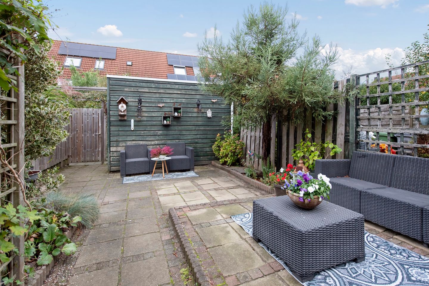 Foto 19 van Fluitekruid 5