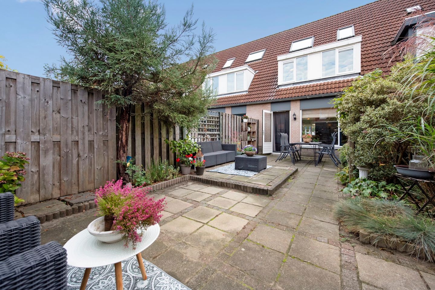 Foto 20 van Fluitekruid 5