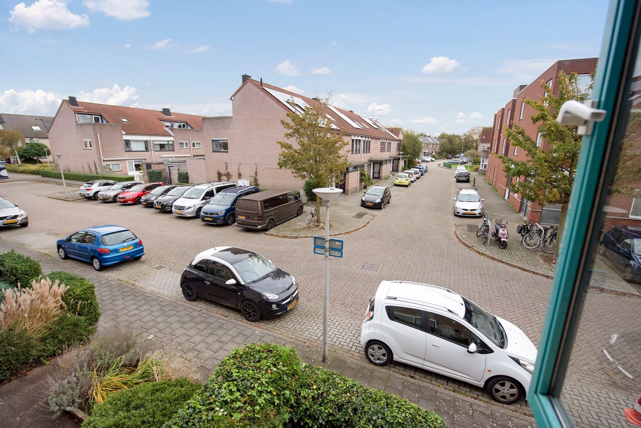 Foto 24 van Fluitekruid 5