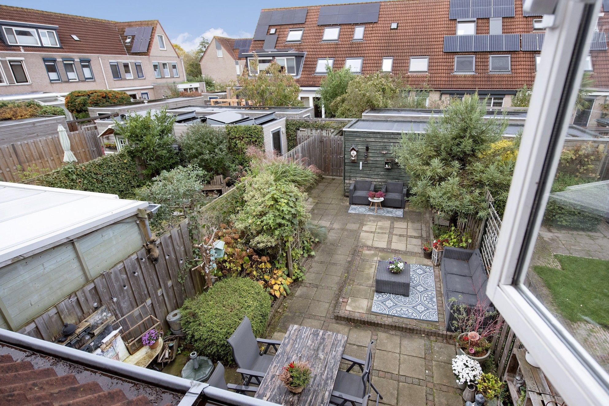 Foto 30 van Fluitekruid 5