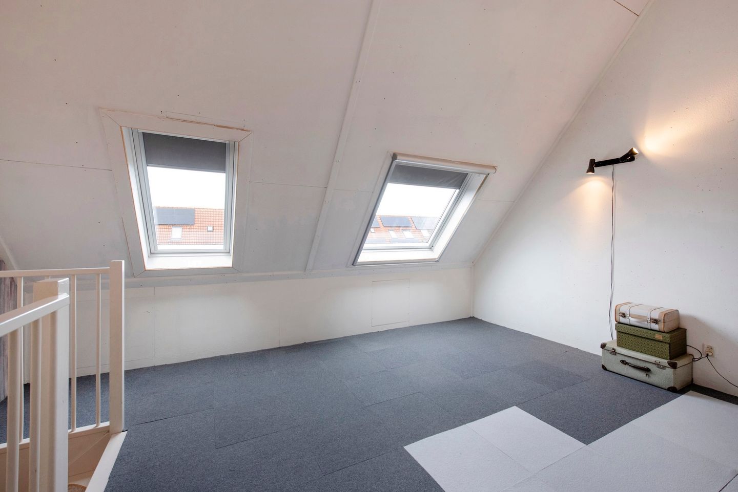 Foto 34 van Fluitekruid 5