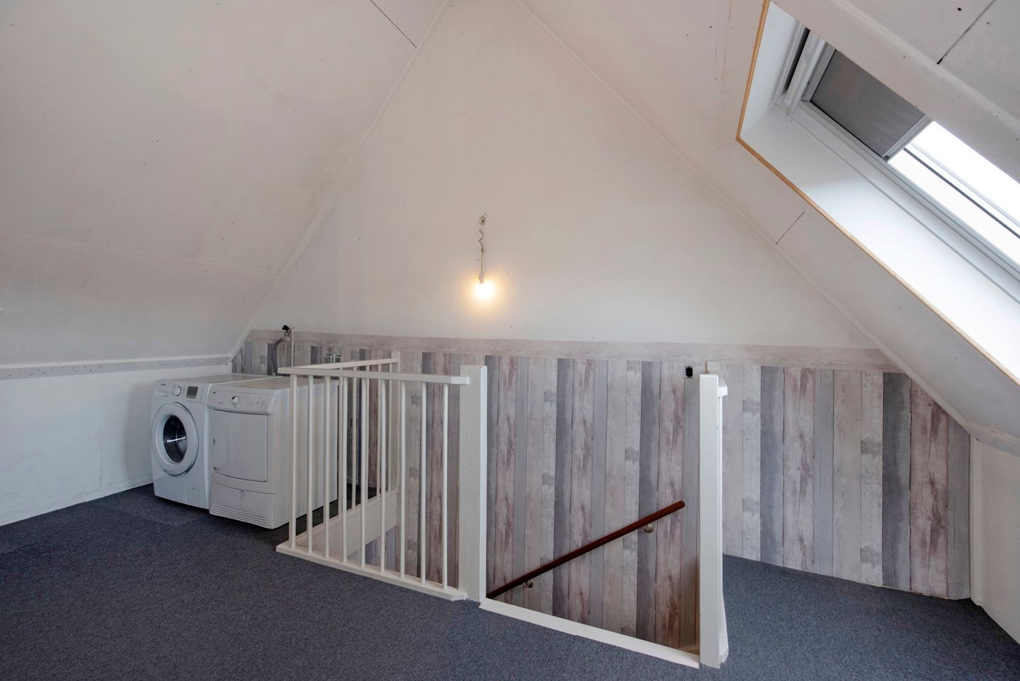 Foto 35 van Fluitekruid 5