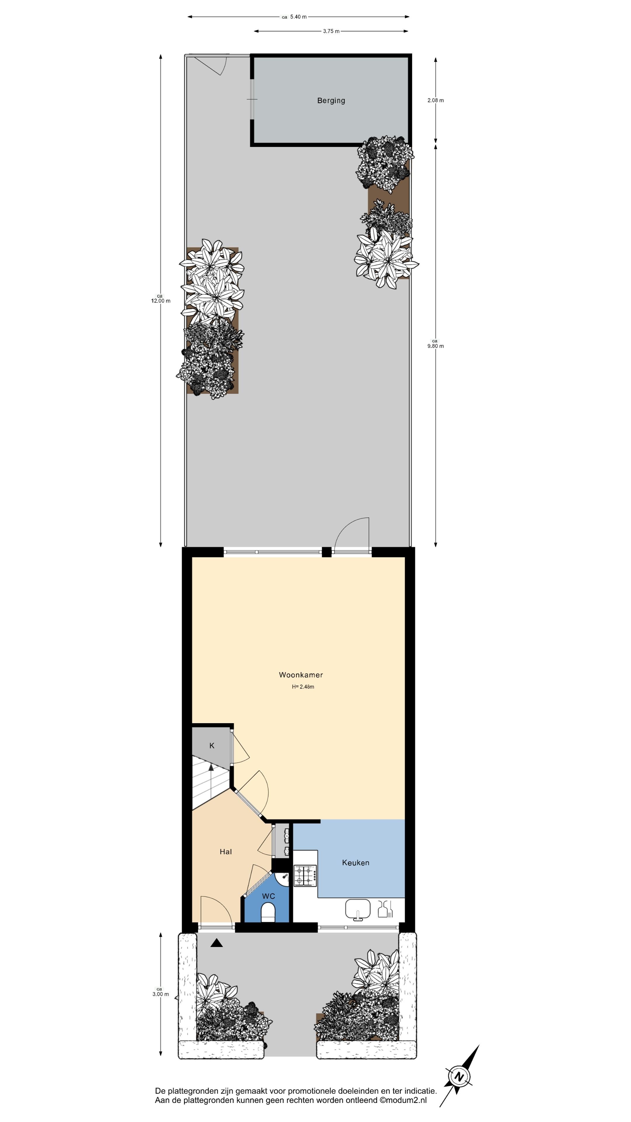 Foto 45 van Fluitekruid 5