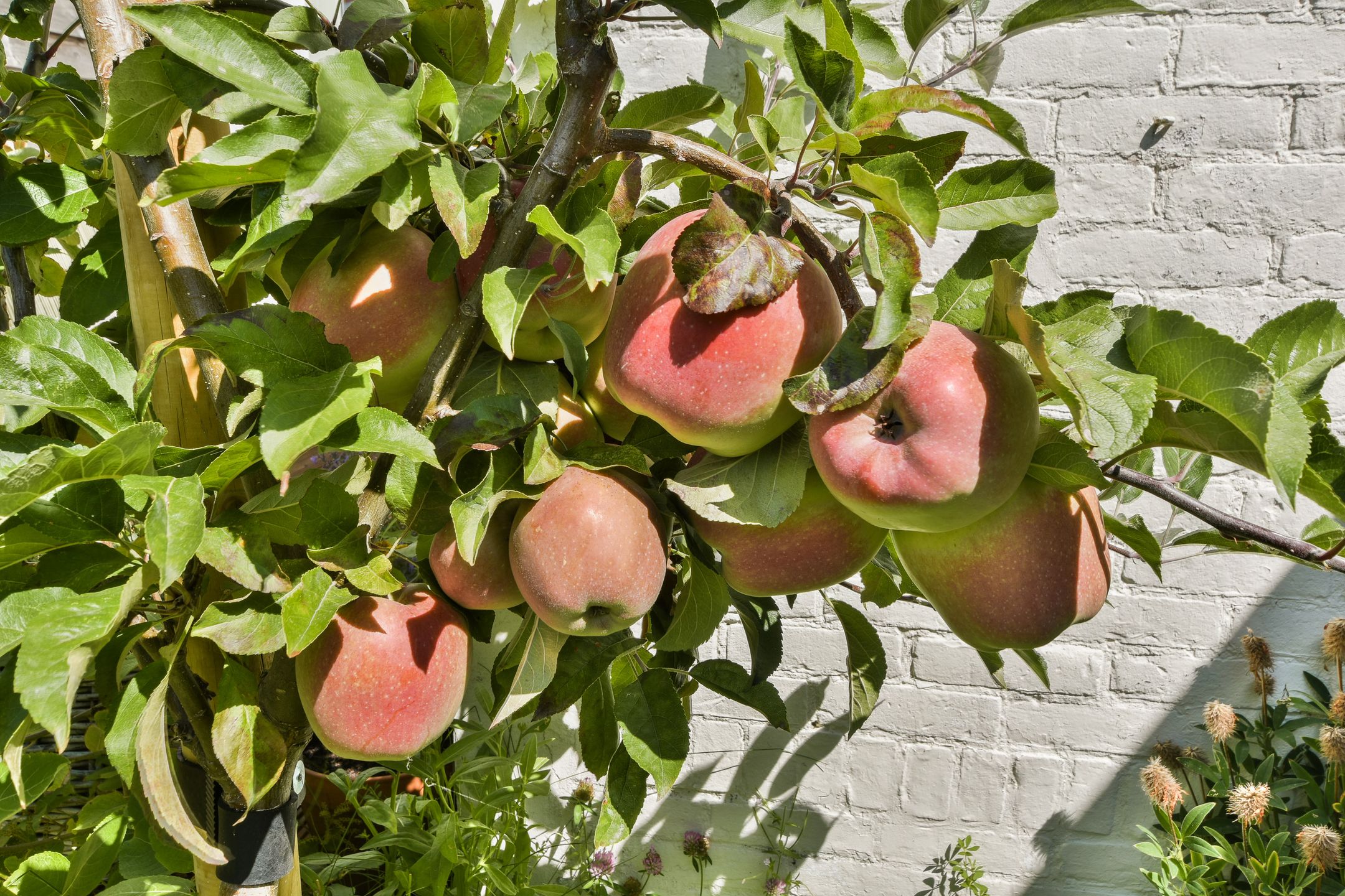 Foto 27 van Floris Schoutenstraat 14