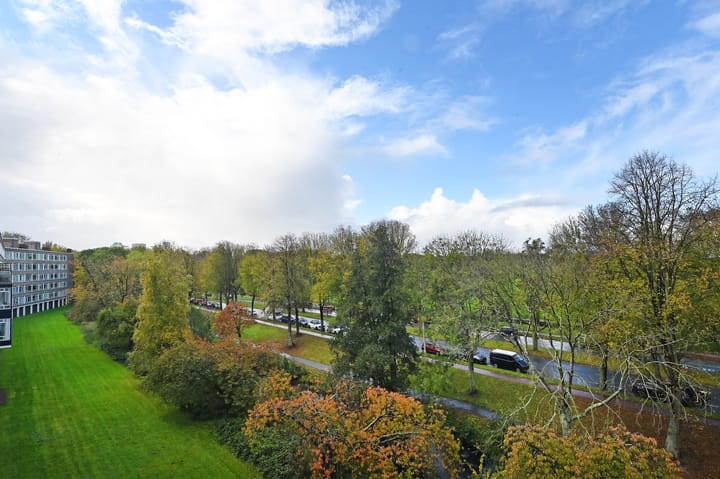 Foto 8 van Barnsteenhorst 330