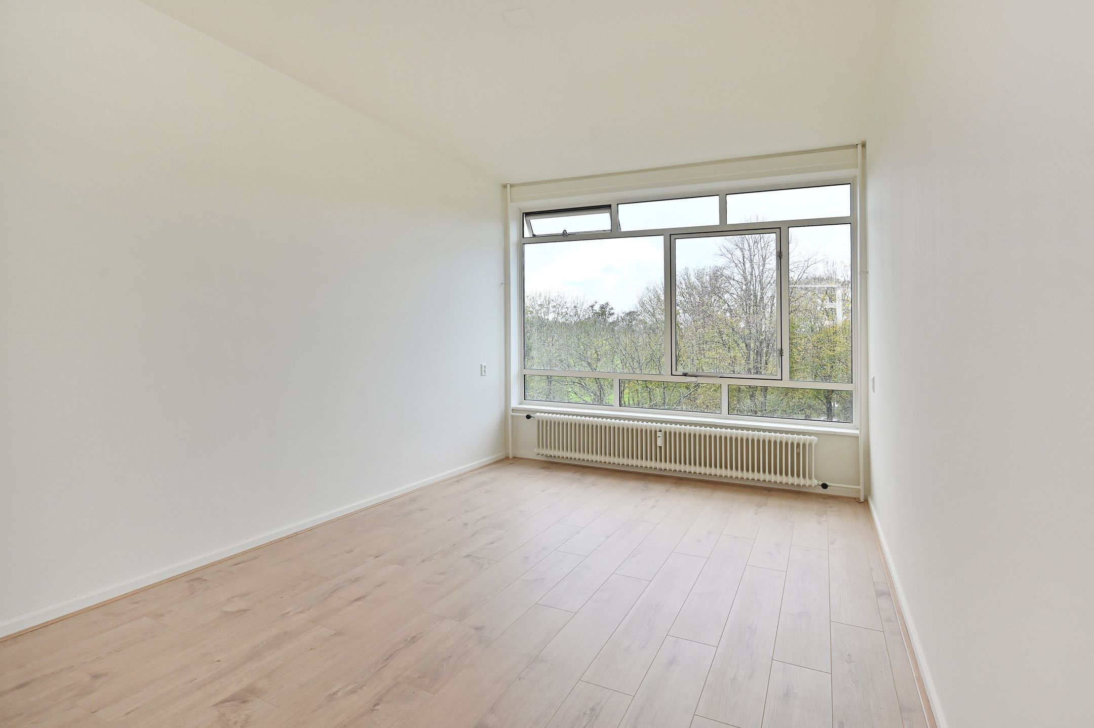 Foto 21 van Barnsteenhorst 330