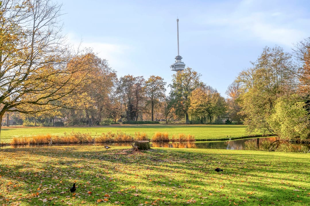 Foto 22 van Van Vollenhovenstraat 3-417