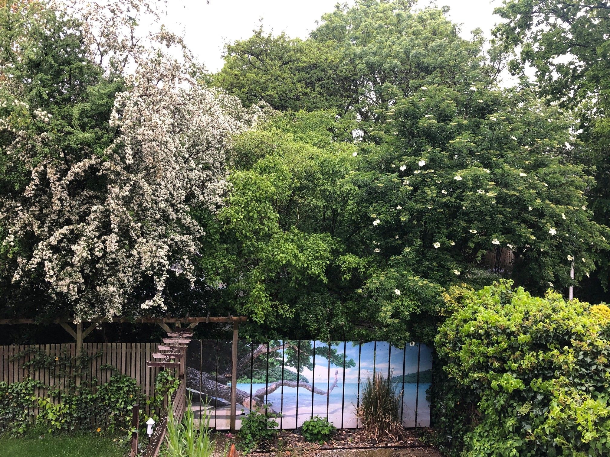 Foto 12 van Turfschip 98