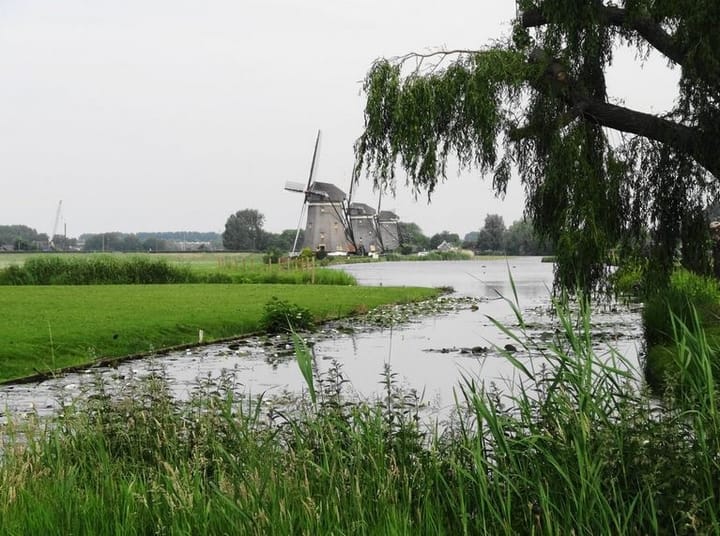 Foto 49 van Arenastraat 91