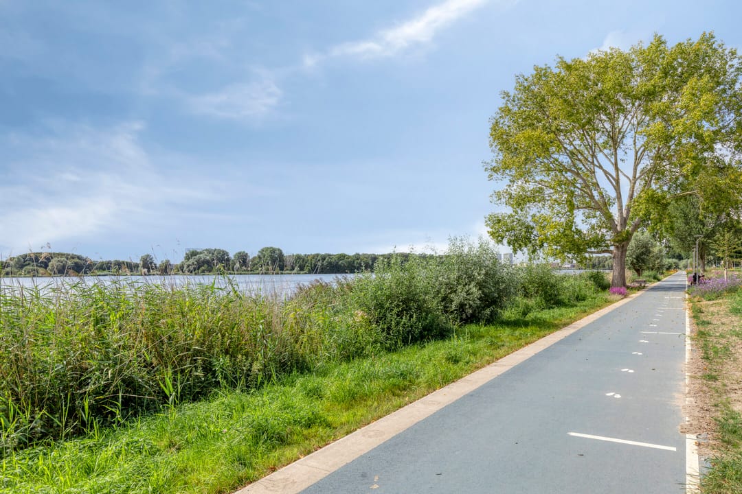 Foto 32 van Fellinilaan 436