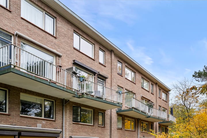 Foto 13 van van Heutszlaan 114-1