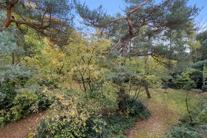 Foto 27 van van Heutszlaan 114-1