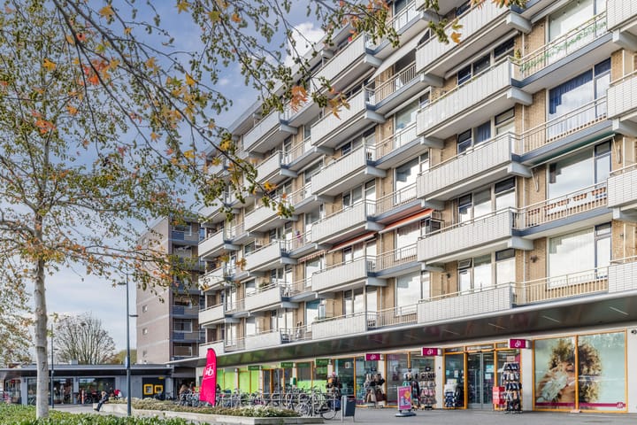 Chopinplein 105 main image