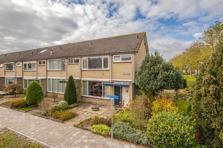 Mozartstraat 131 main image