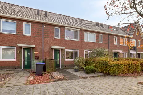 undefined main image