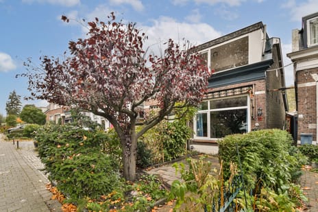 Wethouder Venteweg thumbnail