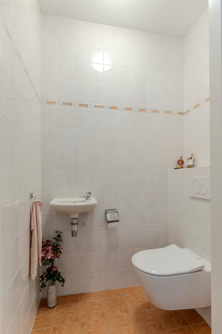 Foto 10 van Lage Ham 11-07