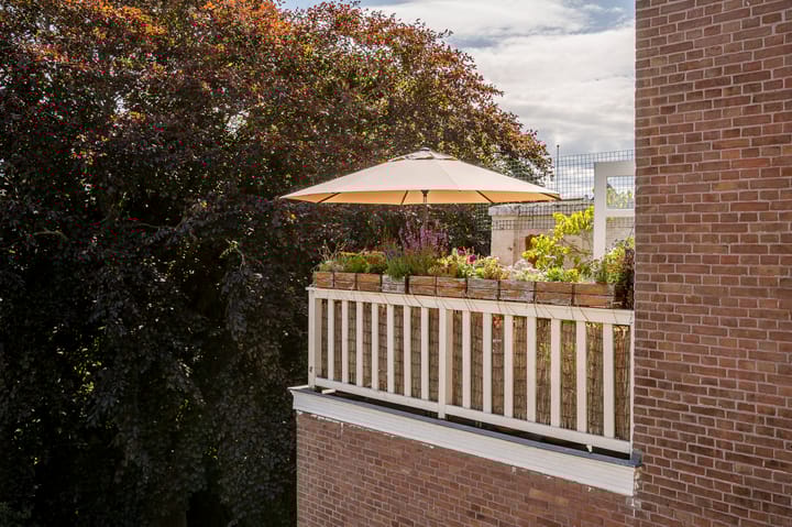 Foto 19 van Van Aerssenstraat 220