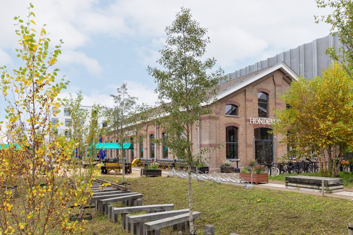 Foto 49 van Chrysantstraat 22